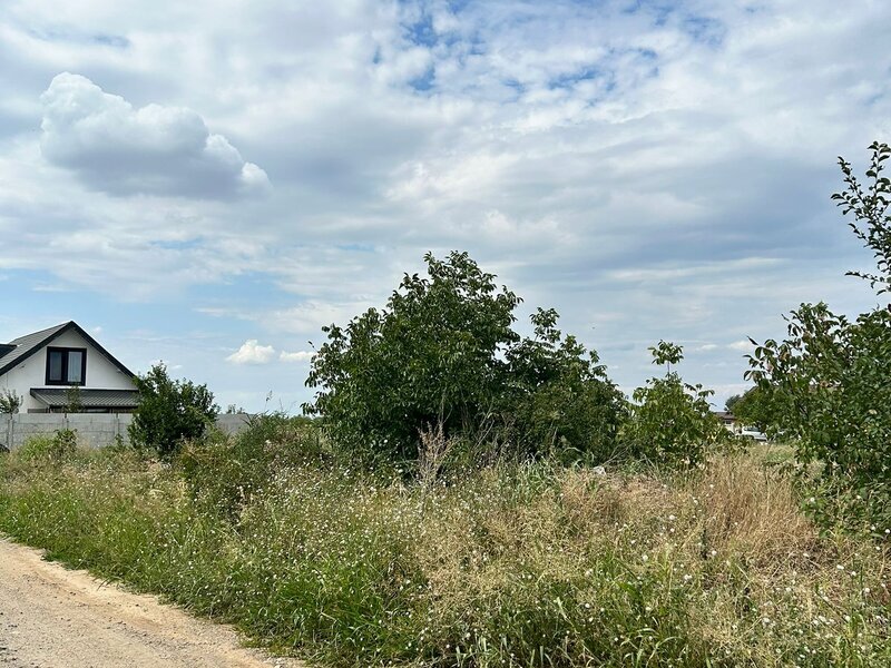 Domnesti ideal casa/ investitie.